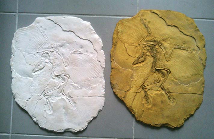 Archaeopterix